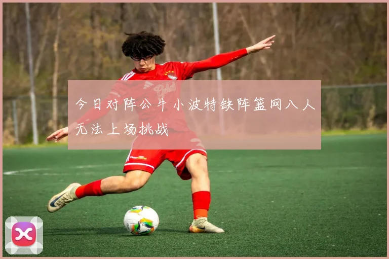 今日对阵公牛小波特缺阵篮网八人无法上场挑战