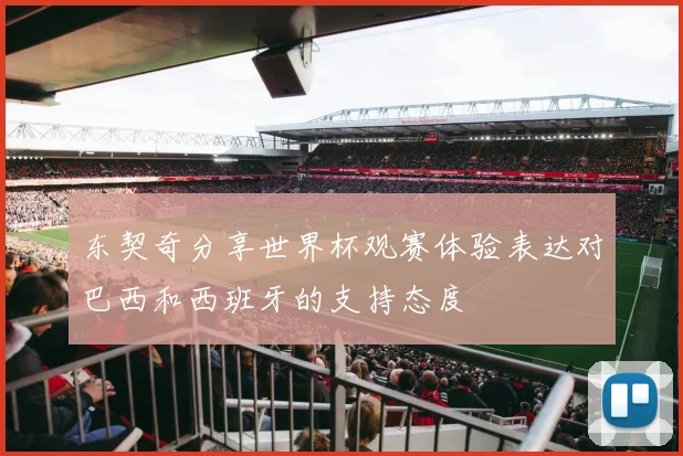 东契奇分享世界杯观赛体验表达对巴西和西班牙的支持态度