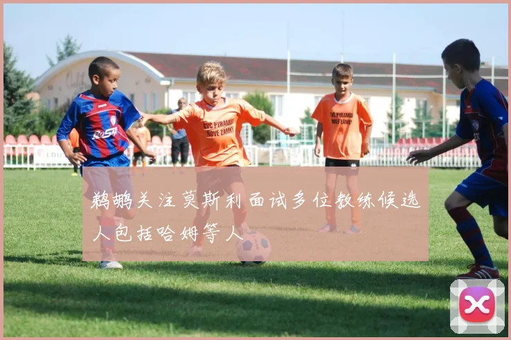 鹈鹕关注莫斯利面试多位教练候选人包括哈姆等人