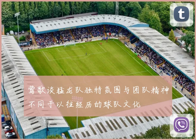 莺歌谈猛龙队独特氛围与团队精神不同于以往经历的球队文化