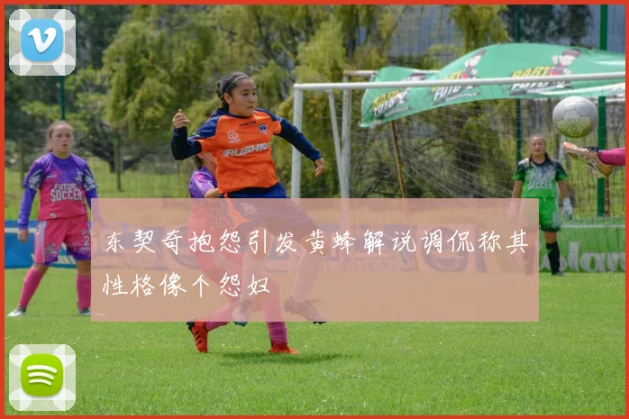 东契奇抱怨引发黄蜂解说调侃称其性格像个怨妇